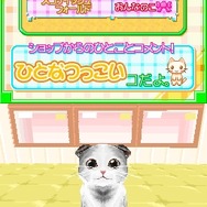 かわいい子猫DS