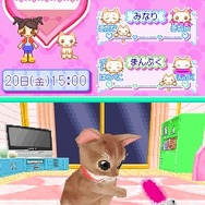 かわいい子猫DS