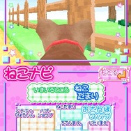 かわいい子猫DS