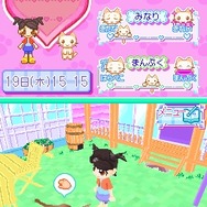 かわいい子猫DS