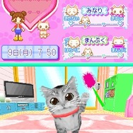 かわいい子猫DS