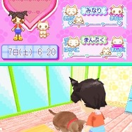 かわいい子猫DS