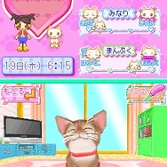 かわいい子猫DS