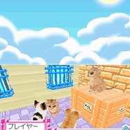 かわいい子猫DS