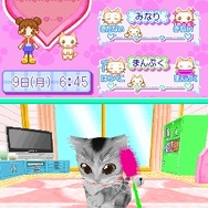 かわいい子猫DS