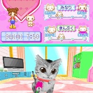 かわいい子猫DS