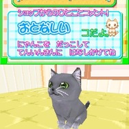 かわいい子猫DS
