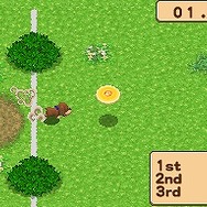 牧場物語 キラキラ太陽となかまたち