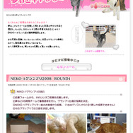 (C)SEGA「夢ねこ」は、株式会社セガトイズの登録商標です。