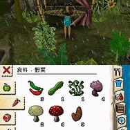 ザ・シムズ2 サバイバル