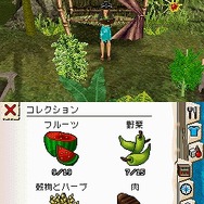 ザ・シムズ2 サバイバル