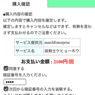 実際のお金は全くかからないのでご安心を