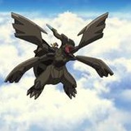 黒ではゼクロムが…