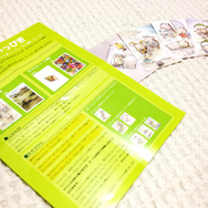 説明書とカードのみというシンプル設計