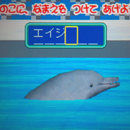 バンドウならエイジしかないよね