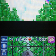 エサをあげたりオモチャで遊んだり