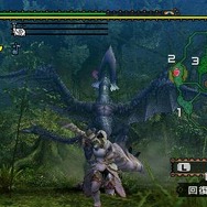 モンスターハンターポータブル 2nd G