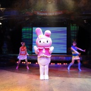 【サンリオピューロランド】多摩生まれ、多摩育ちの私が「アイルーとマイメロディのきらきら大作戦!」を一足先に見てきた