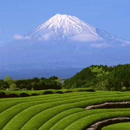 セガ、『アハ体験』『ホームスター ポータブル』を980円でダウンロード販売