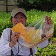 「モンスターハンター・ザ・リアル 2012」いよいよスタート、ダウンロードクエスト先行配信も