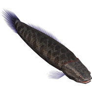 釣りパラダイス!