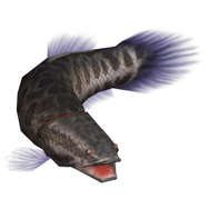 釣りパラダイス!