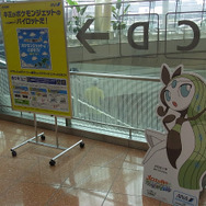 メロエッタ。ステップフォルムもあったのでしょうか？