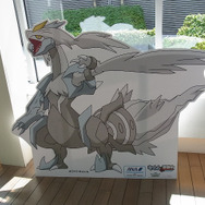 ホワイトキュレム。高いところにいたよっ