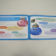 仲間と一緒に冒険をしよう ― オンラインゲームになった『ドラクエX』に迫る