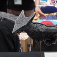 【ワンフェス2012夏】美少女だけがワンフェスじゃない！特撮怪獣フォトレポート