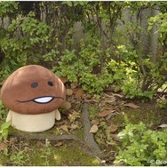 んふんふ!「なめこ座椅子」と「なめこ図鑑」で夏休みもなめこまみれ!