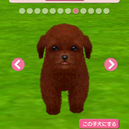 子犬と一緒に暮らすソーシャルペットゲーム『どこでもペット かわいい子犬』 