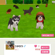 子犬と一緒に暮らすソーシャルペットゲーム『どこでもペット かわいい子犬』 