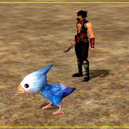 天道オンライン