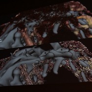 召喚獣の肉体形成