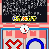 マジカル頭脳パワー!!DS