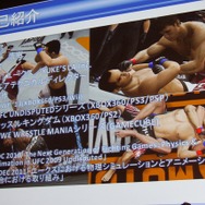 上野氏はユークス所属。GDCでの講演経験も