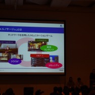 『シェルノサージュ』とは