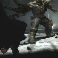 装備できる素手は溜め攻撃で強烈な掌底を繰り出す。範囲は狭いが威力は抜群