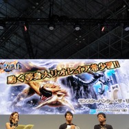【TGS 2012】発売は3月！オンライン通信にも対応した『モンスターハンター4』スペシャルステージレポ