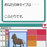 脂肪燃焼計画 やせトレ!!DS