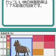 脂肪燃焼計画 やせトレ!!DS