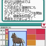 脂肪燃焼計画 やせトレ!!DS