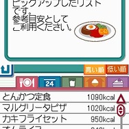 脂肪燃焼計画 やせトレ!!DS