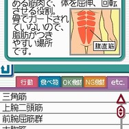 脂肪燃焼計画 やせトレ!!DS