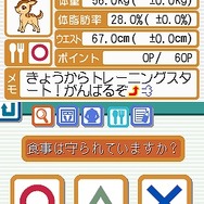 脂肪燃焼計画 やせトレ!!DS