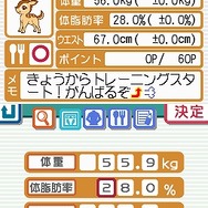 脂肪燃焼計画 やせトレ!!DS