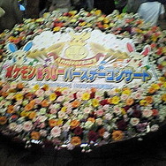 ポケモンはっぴーバースデーコンサート東京会場レポート