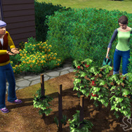 シームレスになる『The Sims 3』　新着情報＆スクリーンショット