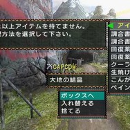 モンスターハンターポータブル 2nd G